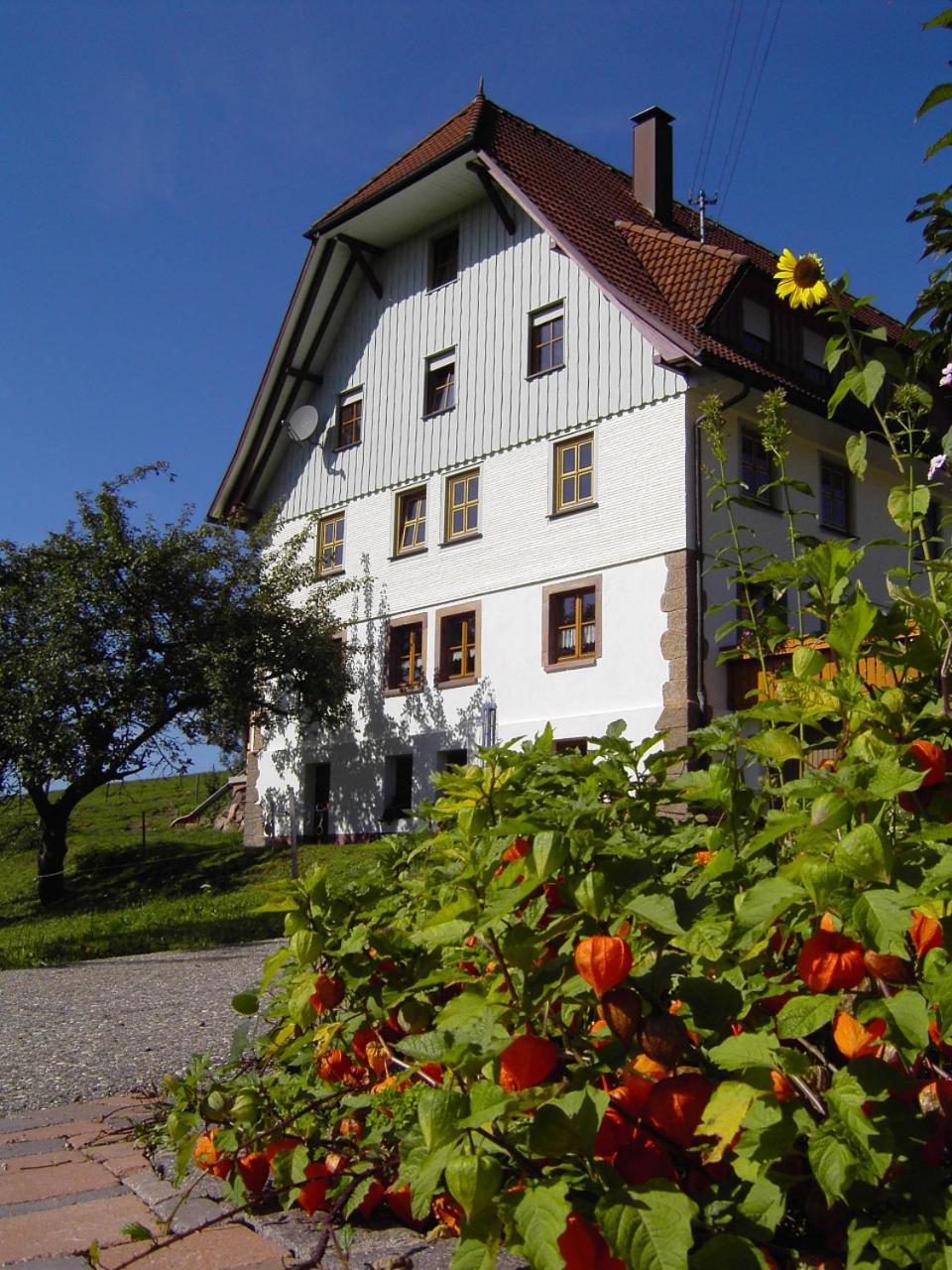 Fehrenbacherhof Naturgaestehaus Lauterbach  Kültér fotó